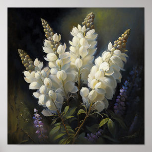 White Lupine Flower Art Print Poster