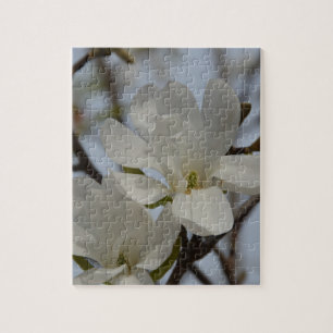 White Magnolia Blooming in the Spring Jigsaw Puzzle