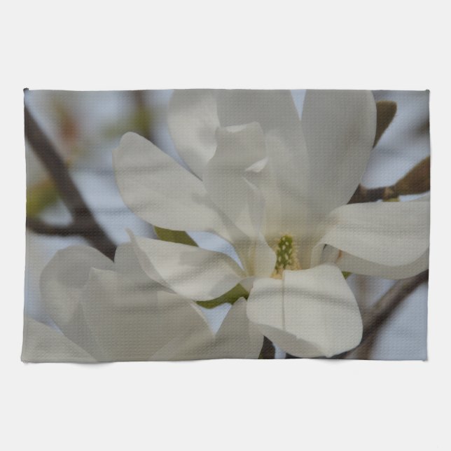 White Magnolia Blooming in the Spring Kitchen Towel (Horizontal)