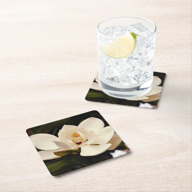 White Magnolia Blossom Paper Coaster (Insitu)