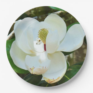White Magnolia Blossom Paper Plate