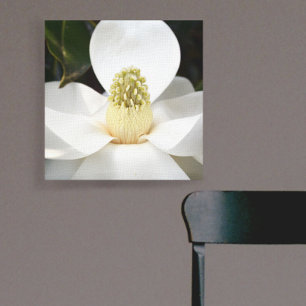 White Magnolia Blossom Photographic Botanical Canvas Print