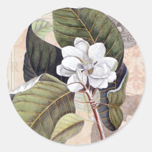 White Magnolia Blossom Vintage Botanical Classic Round Sticker