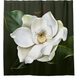 White Magnolia Closeup Green Background