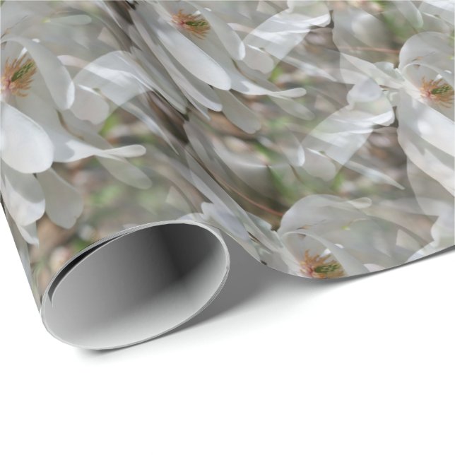 White Magnolia Flower Blossoms Nature   Wrapping Paper (Roll Corner)