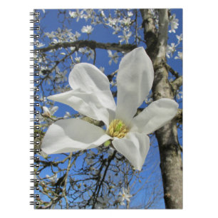 White Magnolia Flower in Tree. Notebook