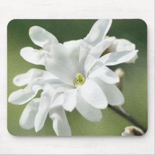 White Magnolia Flower Mouse Pad