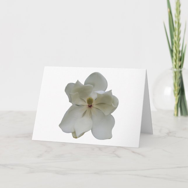 White Magnolia flower on blank note card (Front)