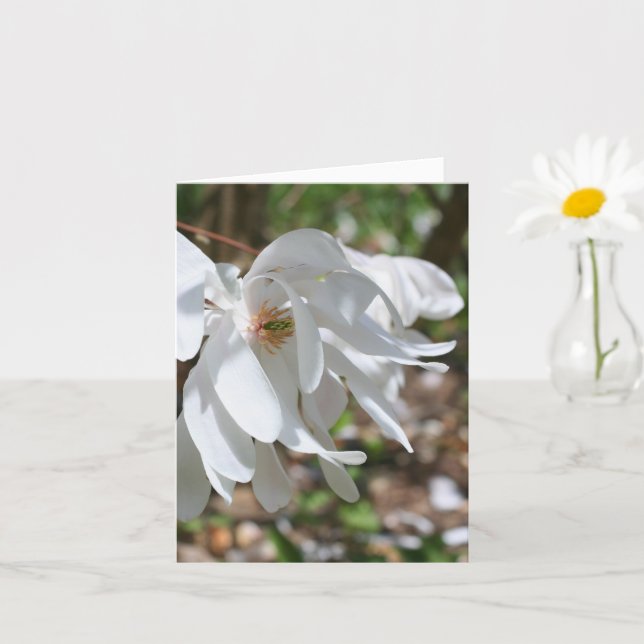 White Magnolia Flower Personalized Note Card (Small Plant)