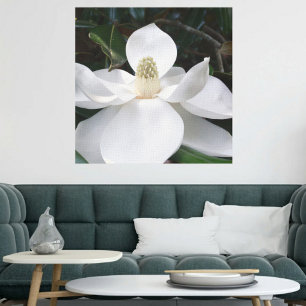 White Magnolia Flower Photographic Botanical Canvas Print
