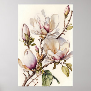 White Magnolia Flowers Art Print Poster