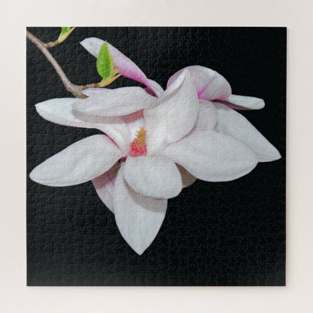 White Magnolia Jigsaw Puzzle (Horizontal)