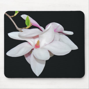 White Magnolia Mouse Pad