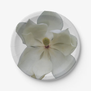 White Magnolia on paper plate