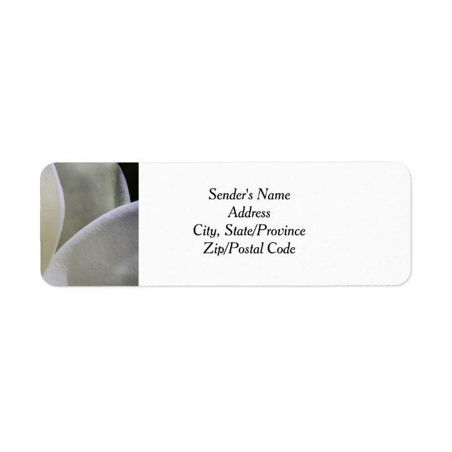 White Magnolia Wedding Return Address Labels (Front)