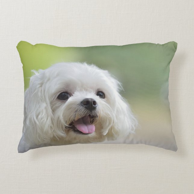 White Maltese Dog Decorative Pillow (Front)