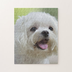 White Maltese Dog Jigsaw Puzzle