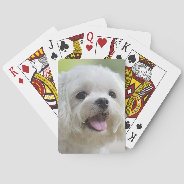 White Maltese Dog Playing Cards (Back)