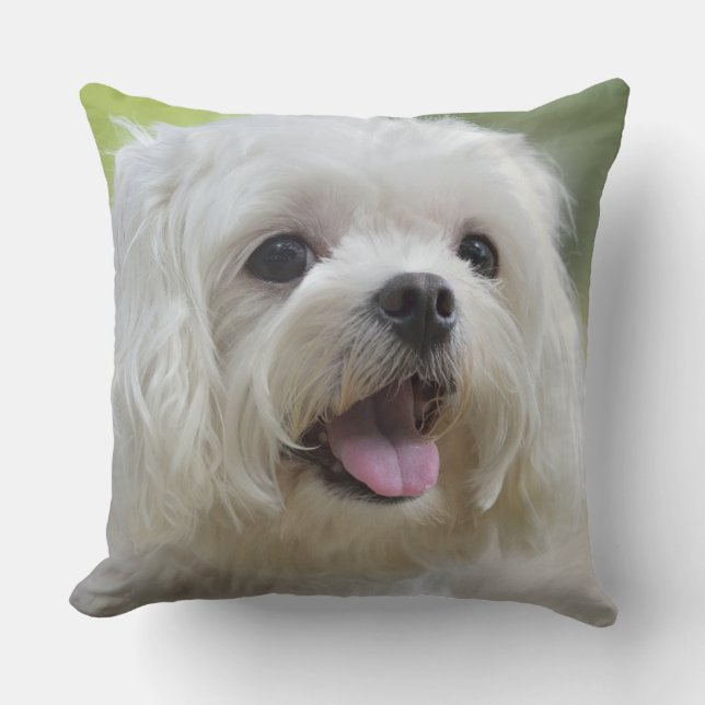 White Maltese Dog Throw Pillow (Front)