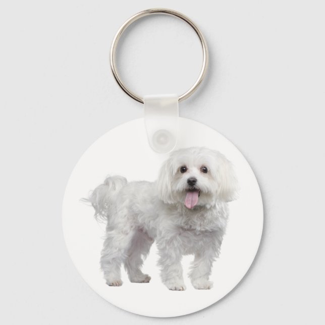 White Maltese Puppy Dog Custom Keychain (Front)