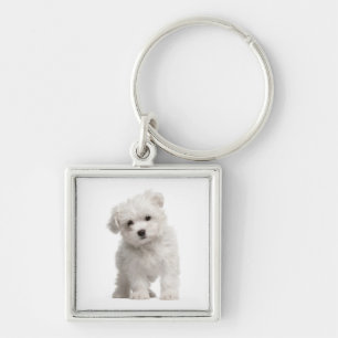White Maltese Puppy Dog Love Custom Keychain