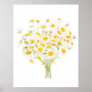 white Margaret daisy watercolor and ink bouquet Poster