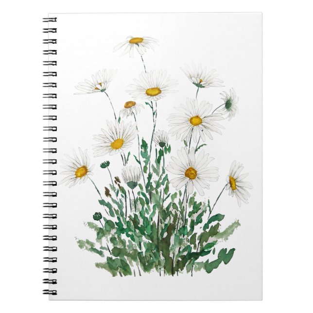 white Margaret daisy watercolor Notebook (Front)