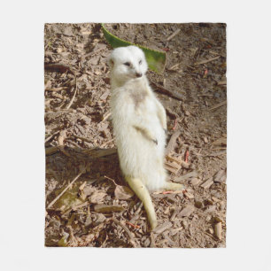 White Meerkat, Medium Fleece Blanket. Blanket