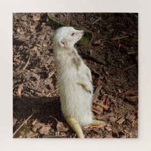 White Meerkat Standing , Jigsaw Puzzle