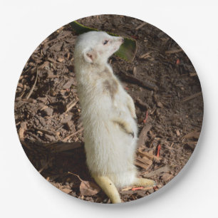 White Meerkat Standing , Paper Party Plates
