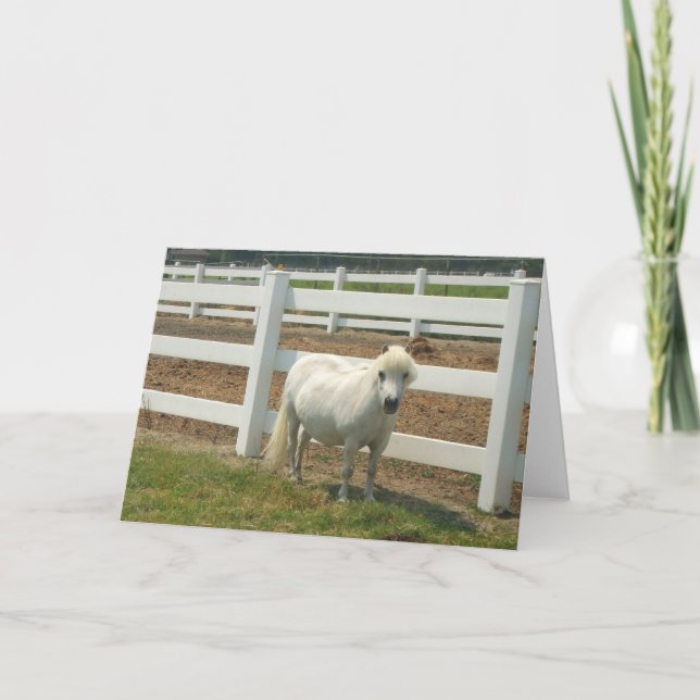 White miniature horse greeting card (Front)