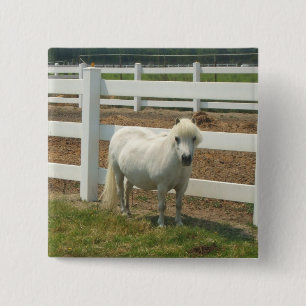 White miniature horse magnet 2 inch square button
