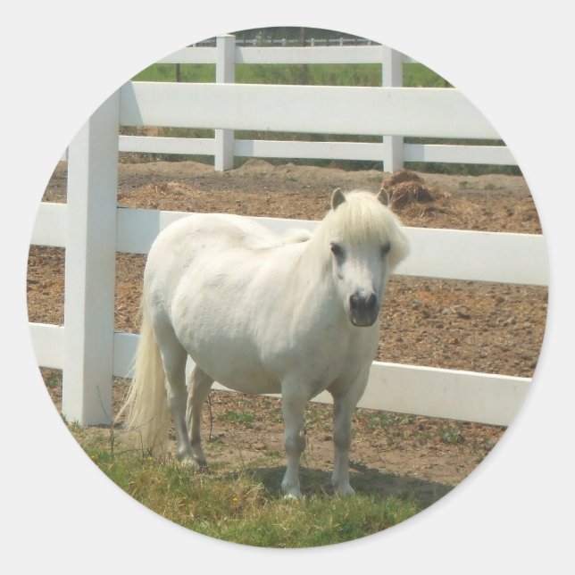 White miniature horse stickers (Front)