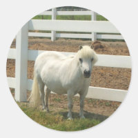 White miniature horse stickers