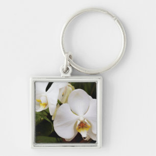 White Moon Orchid (Phalaenopsis Aphrodite) Keychain