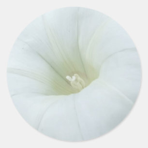White Moonflower Stickers
