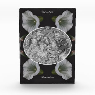 White Morning Glory Flower Create Your Own  Photo Block