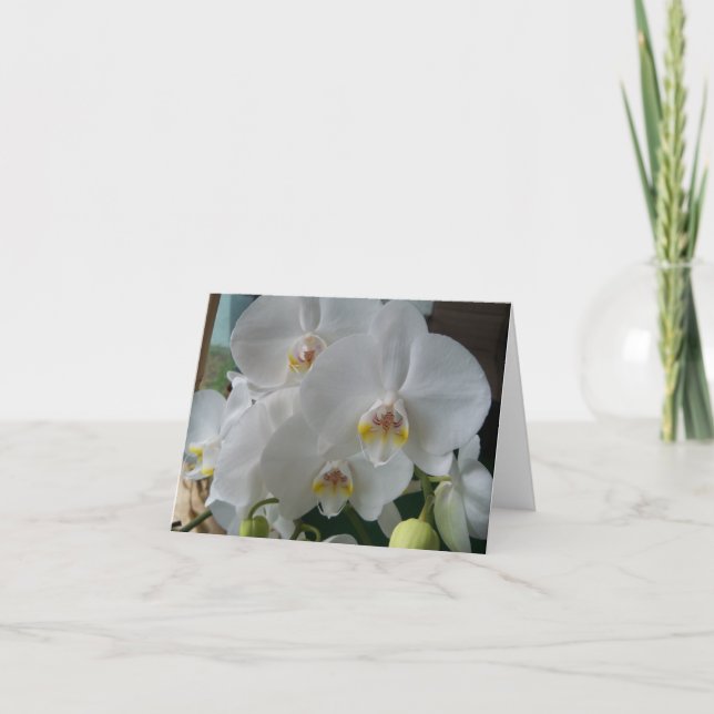 White Moth Orchids on a blank card (Front)