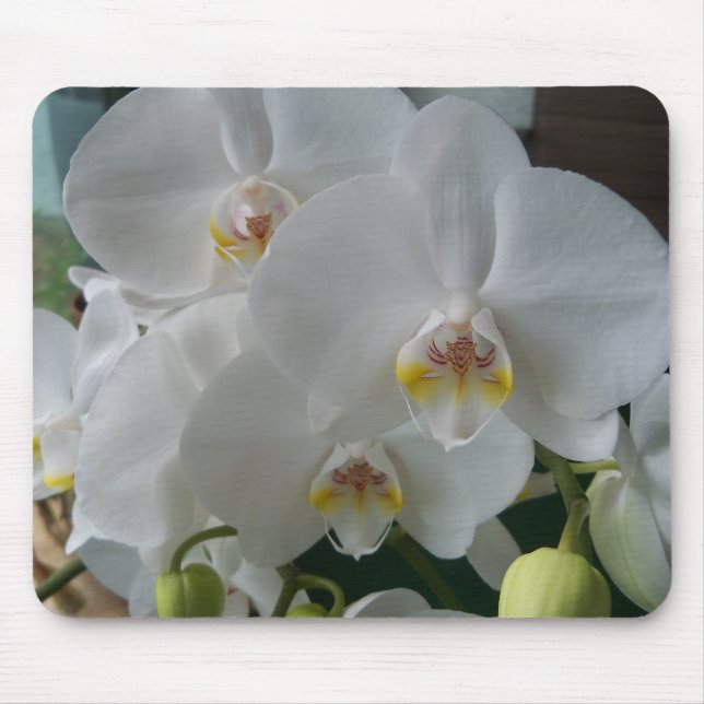 White Moth Orchids on a mousepad (Front)