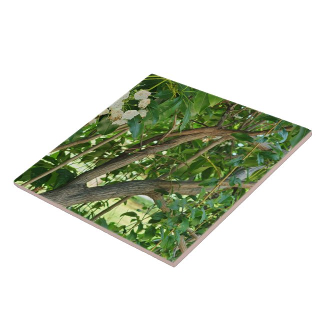 White Mountain Laurel Branches Tile (Side)