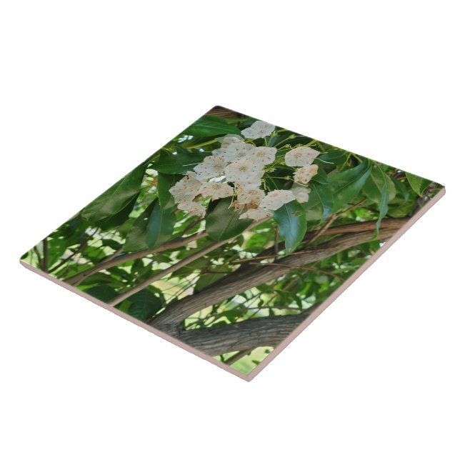 White Mountain Laurel Shrub Branches Tile (Side)