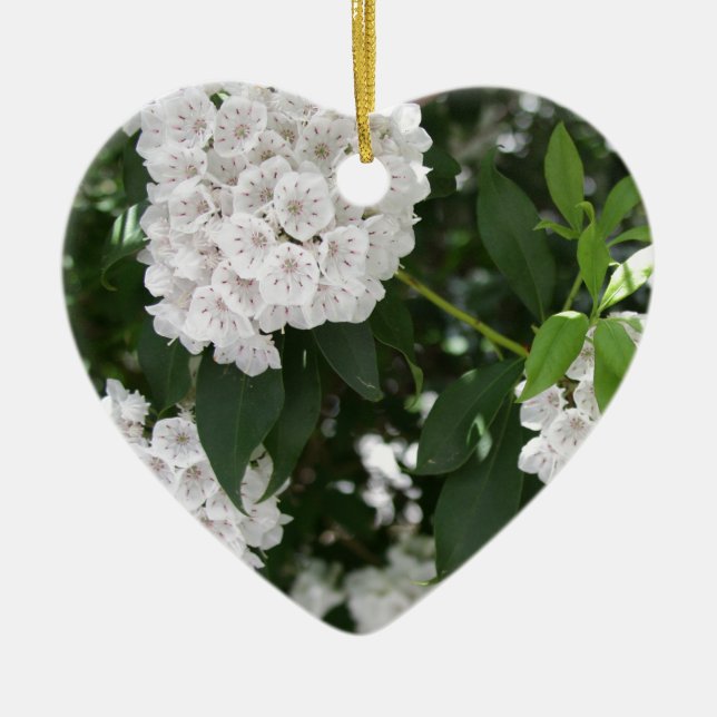 White Mountain Laurel Star Shaped Flowers Ceramic Ornament (Front)