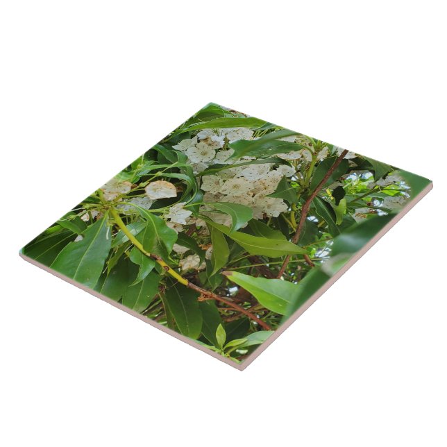 White Mountain Laurel Tile (Side)