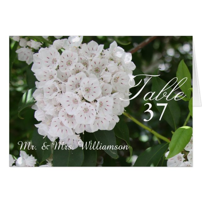 White Mountain Laurel Wedding Table Tent Cards (Front Horizontal)