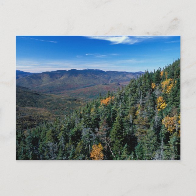 White Mountain N.F., NH. The view from near Postcard (Front)
