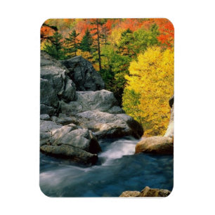 White Mountain National Forest, NH Magnet