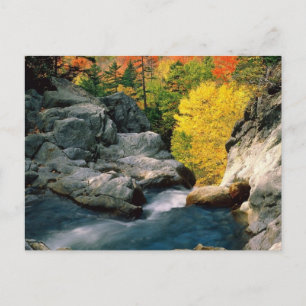 White Mountain National Forest, NH Postcard