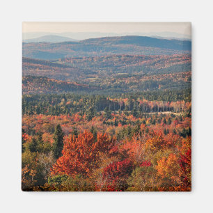 White Mountains National Forest   New Hampshire Magnet