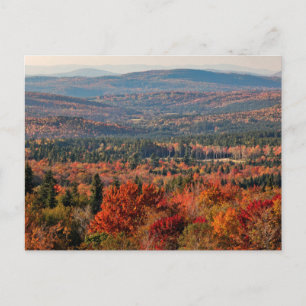 White Mountains National Forest   New Hampshire Postcard