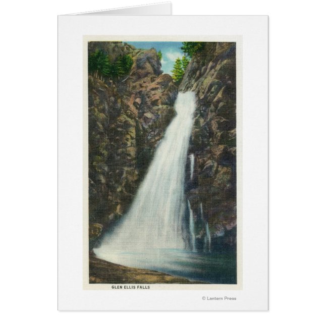 White Mountains Nat'l Forest (Front)